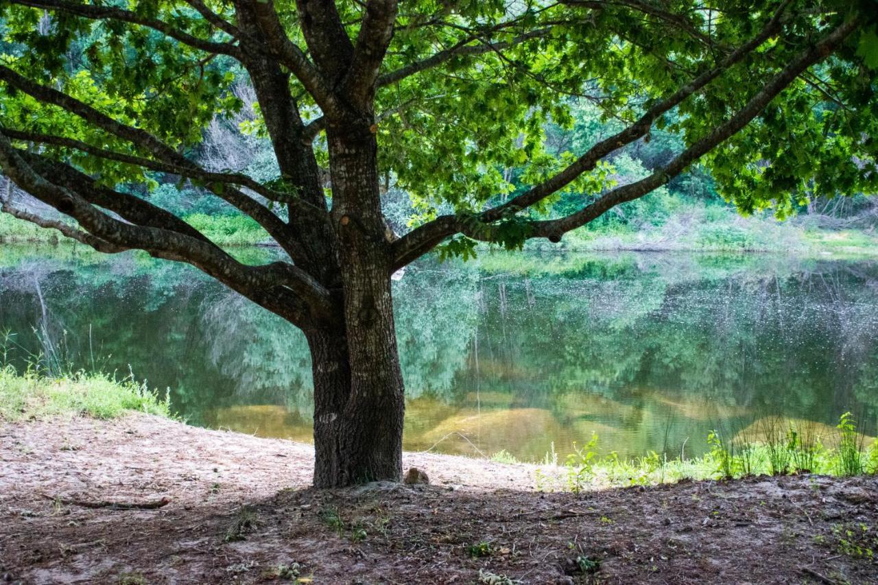 Quinta Da Lontra Villa Tábua Kültér fotó