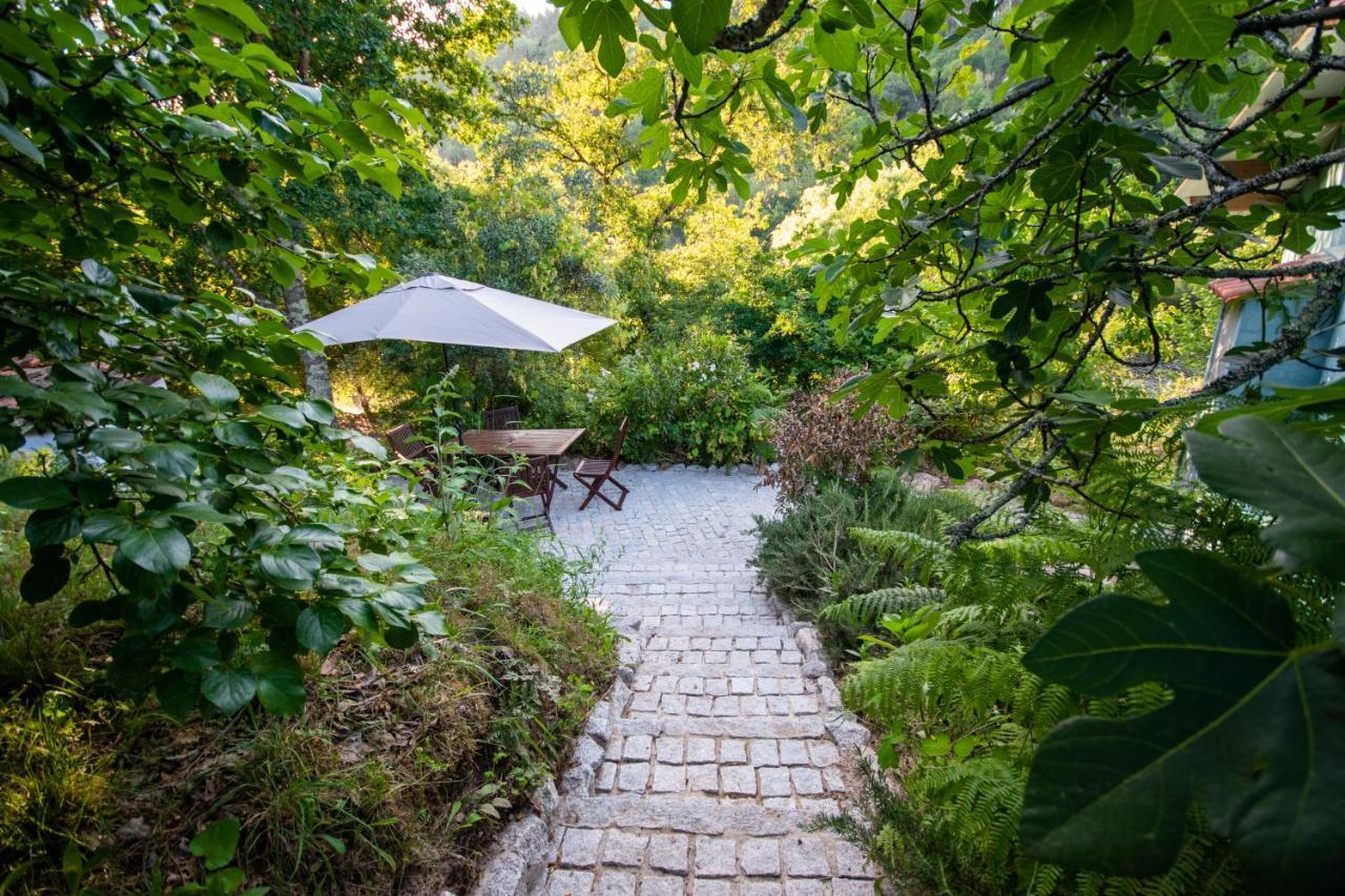Quinta Da Lontra Villa Tábua Kültér fotó