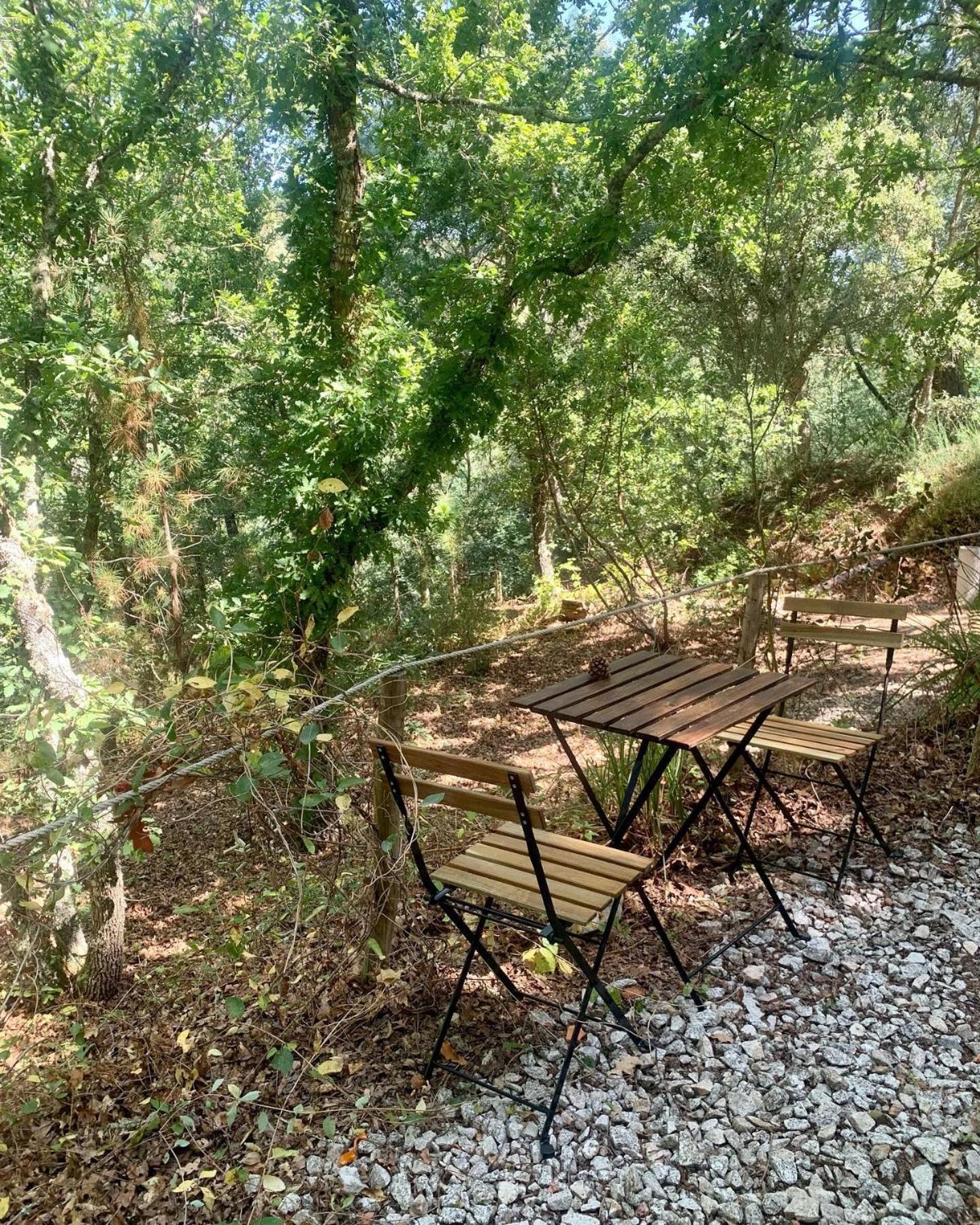 Quinta Da Lontra Villa Tábua Kültér fotó