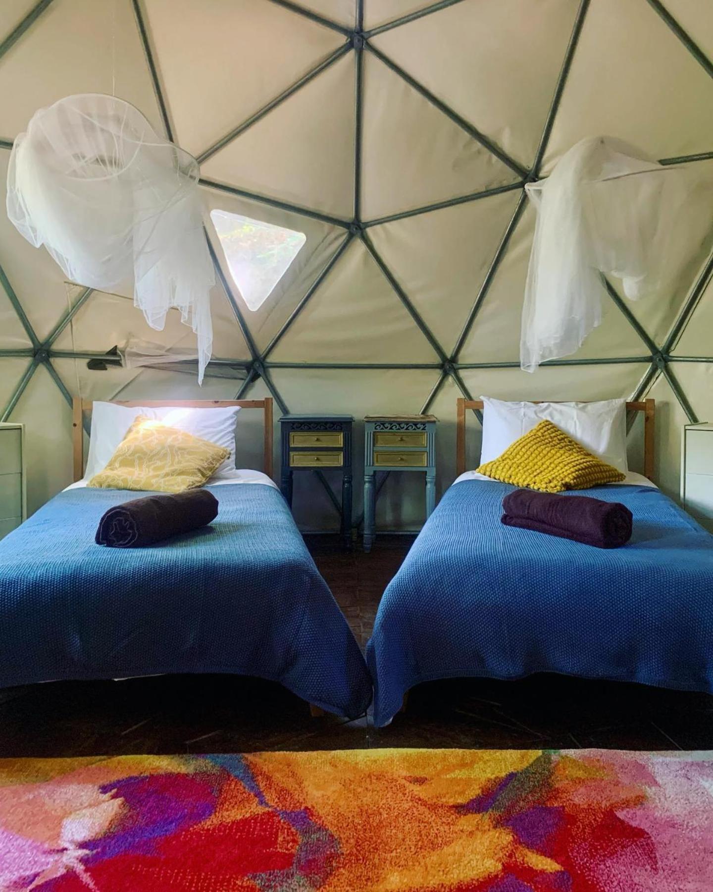 Quinta Da Lontra Villa Tábua Kültér fotó