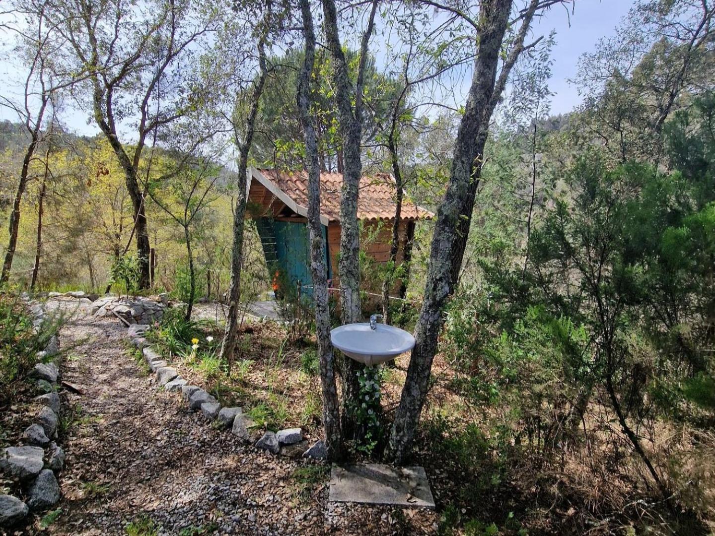 Quinta Da Lontra Villa Tábua Kültér fotó