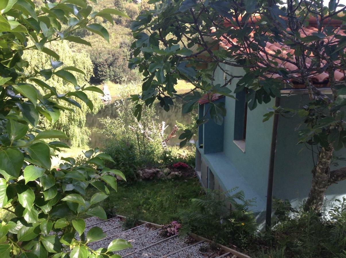 Quinta Da Lontra Villa Tábua Kültér fotó