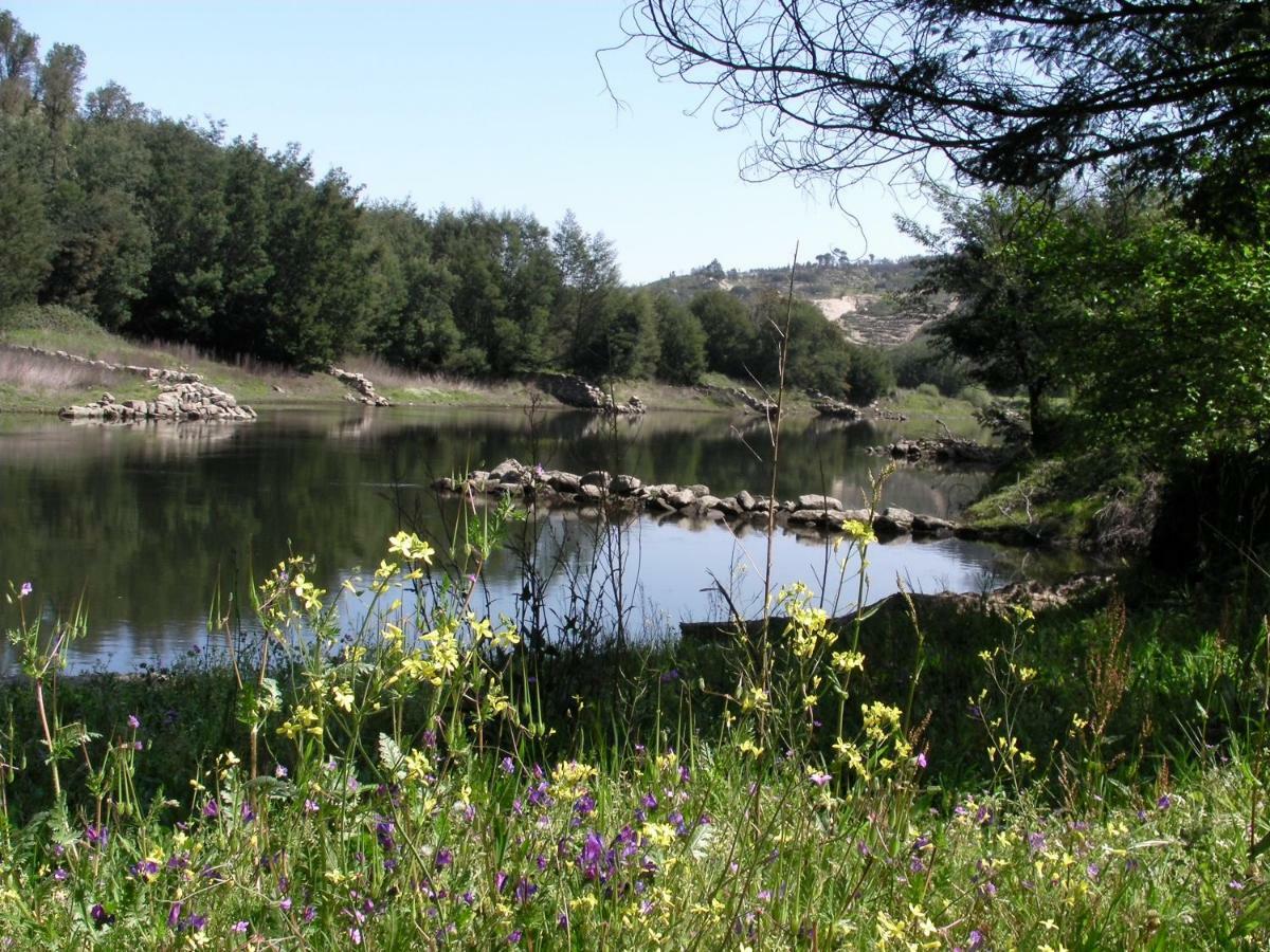 Quinta Da Lontra Villa Tábua Kültér fotó