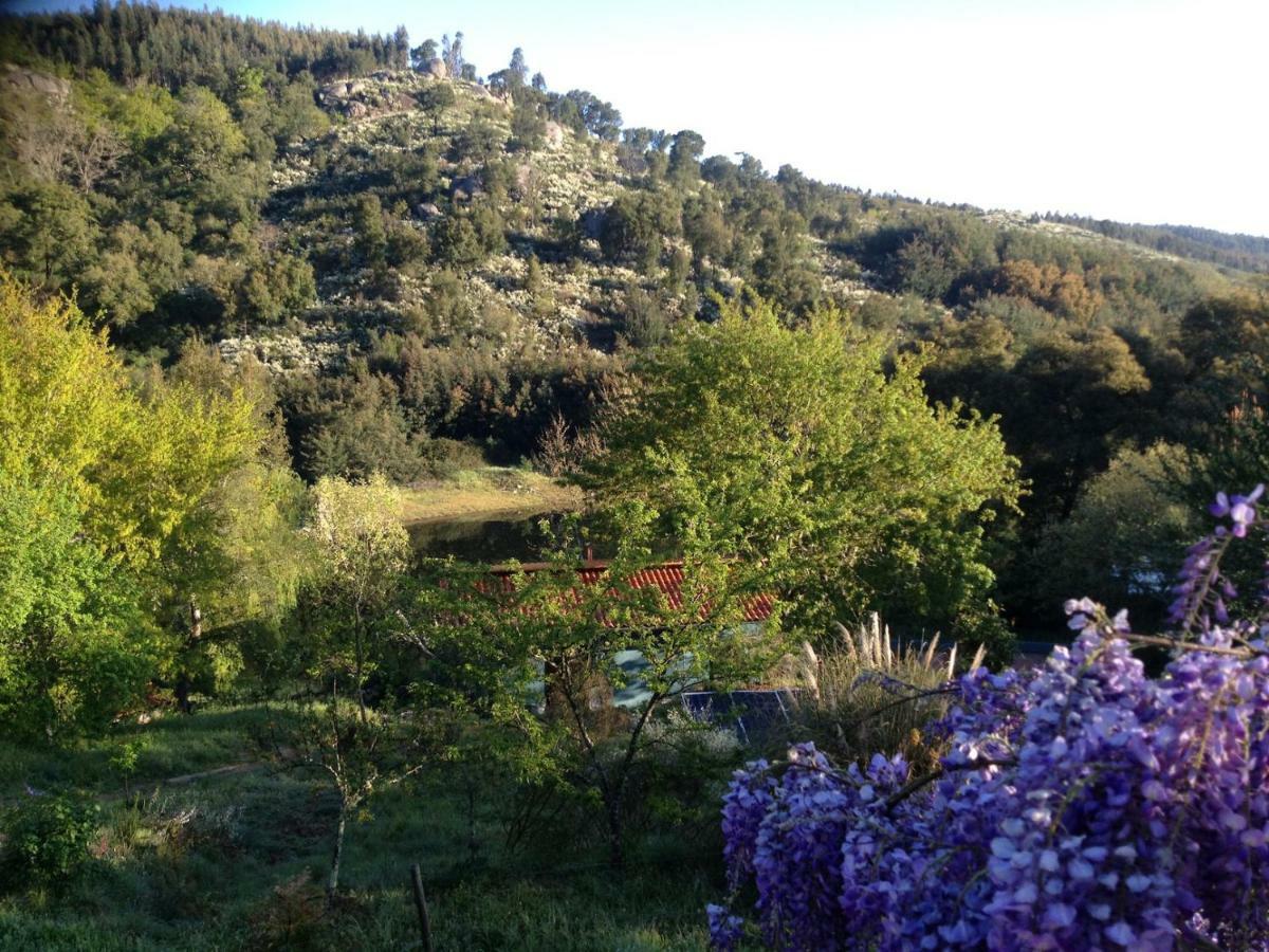 Quinta Da Lontra Villa Tábua Kültér fotó